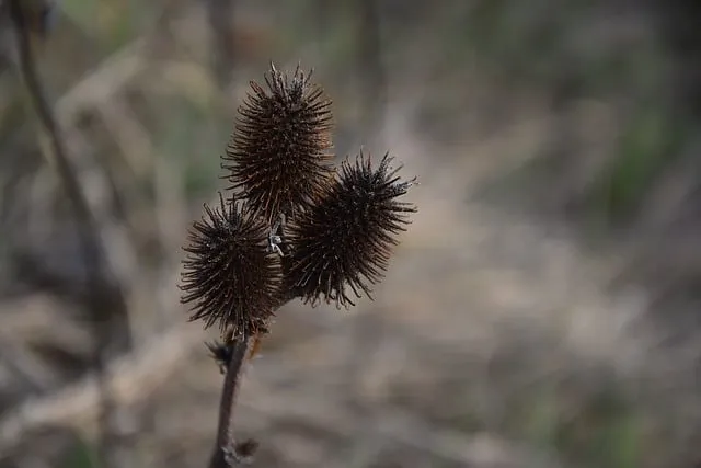 꼬막 무침 맛있게 삶는법_4