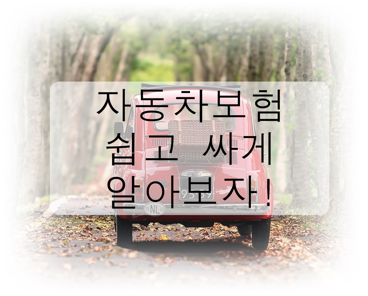 자동차보험 쉽게 알아보고 싸게 가입해보자!