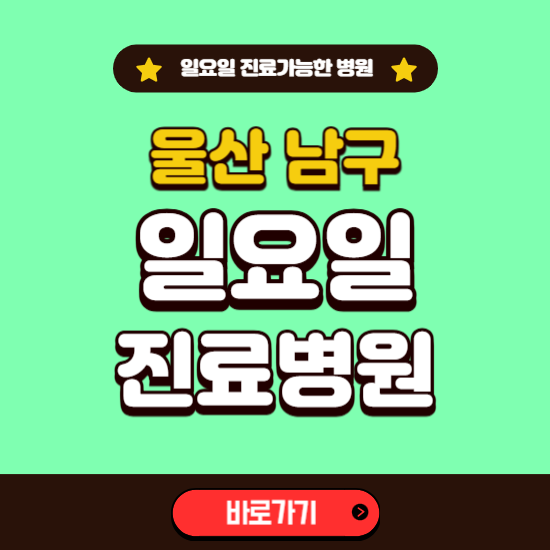 울산 남구 일요일 진료 가능한 병원 ❘ 주말 문여는 곳 총정리 (소아과, 내과, 안과, 치과, 피부과, 정형외과, 산부인과)