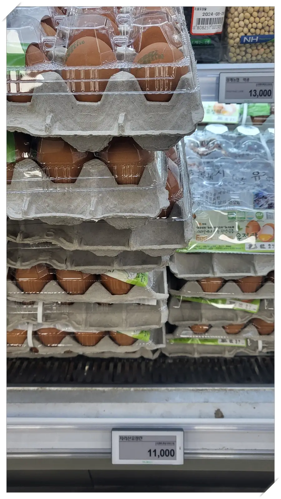 동물복지-유정란-계란