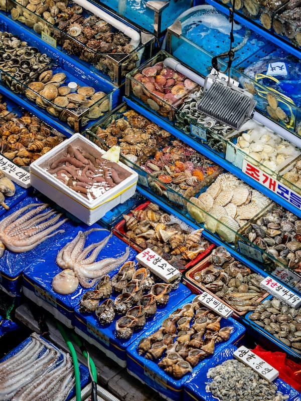 자연의 맛을 담은 바다 생선 그래픽