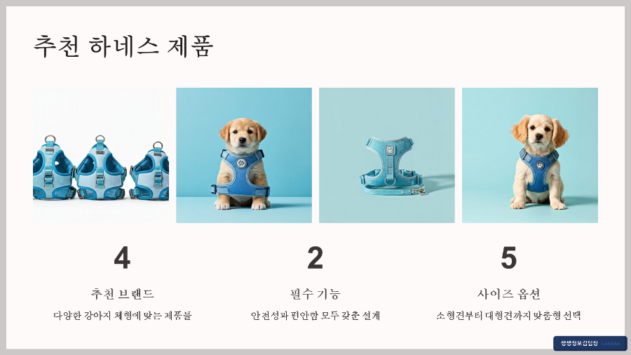 산책 전용 하네스 추천