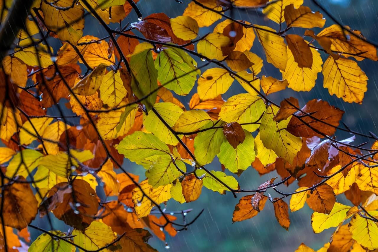 무주 덕유산 곤도라 예약 및 요금