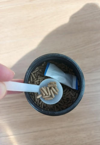 반수생 거북이 키우기_커먼머스크 터틀 (가격&amp;#44; 수명&amp;#44; 먹이&amp;#44; 집 청소)