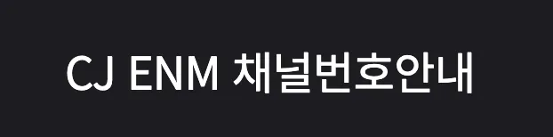 채널번호