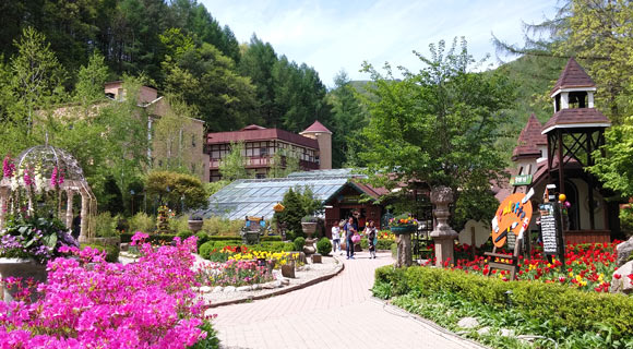 평창 가볼만한곳