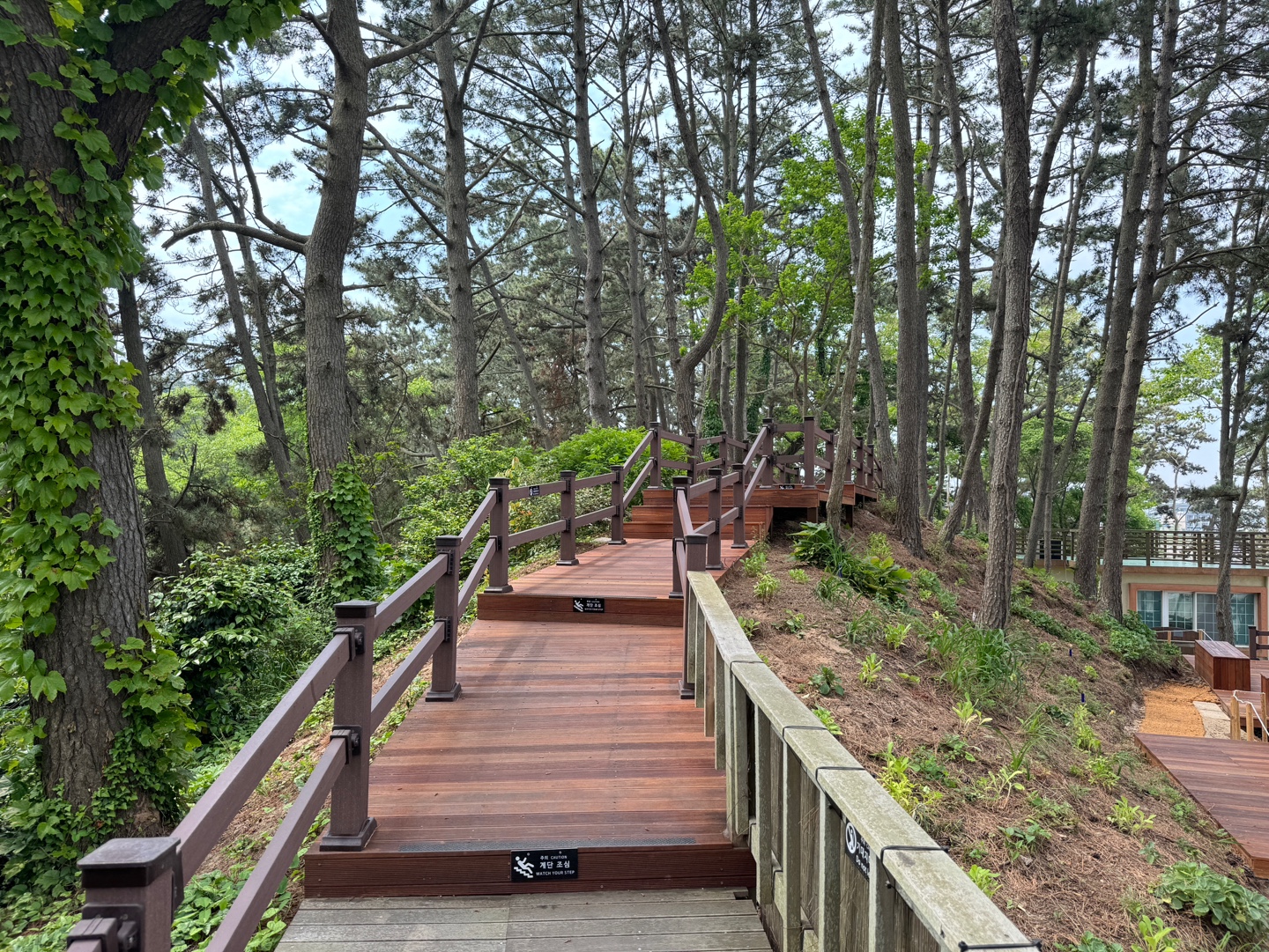 천리포수목원