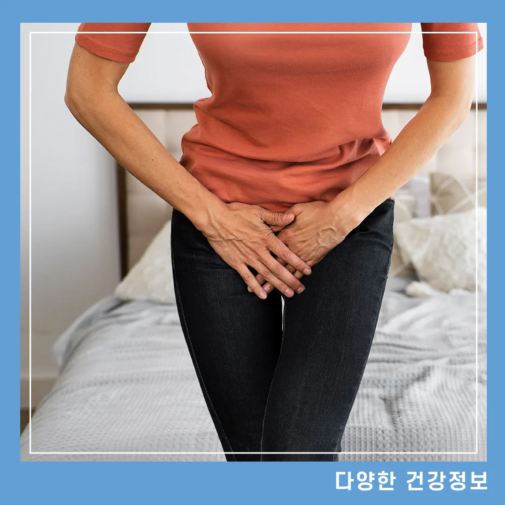 질염-증상-원인