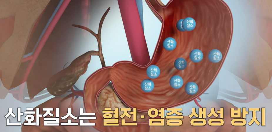 아르기닌의 효능 