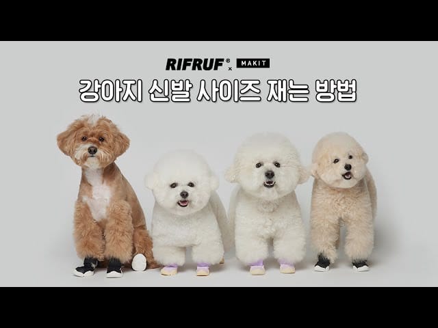 강아지 미끄럼방지 양말 사이즈 재는법