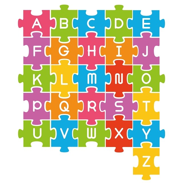 오픽(OPIC)AA