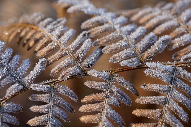 2026년 1월 27일부터 2월 2일까지 전국적인 날씨 예보