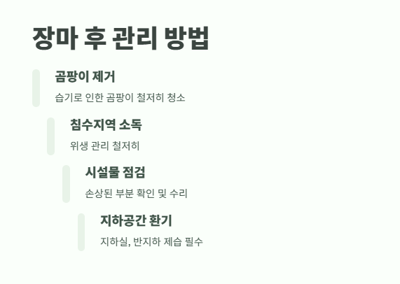 올해 장마철 기간 완벽 정리 17