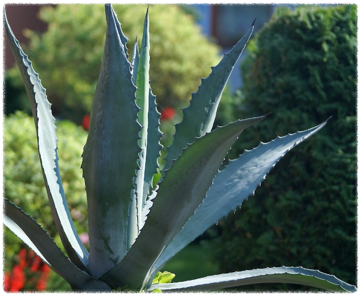 구형 모델이나 오래된 제품도 수거되나요?