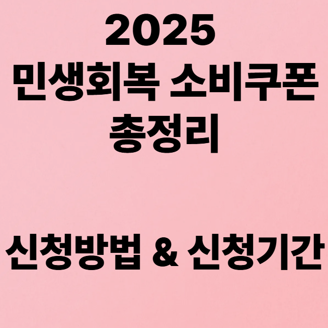2025 민생회복 소비쿠폰