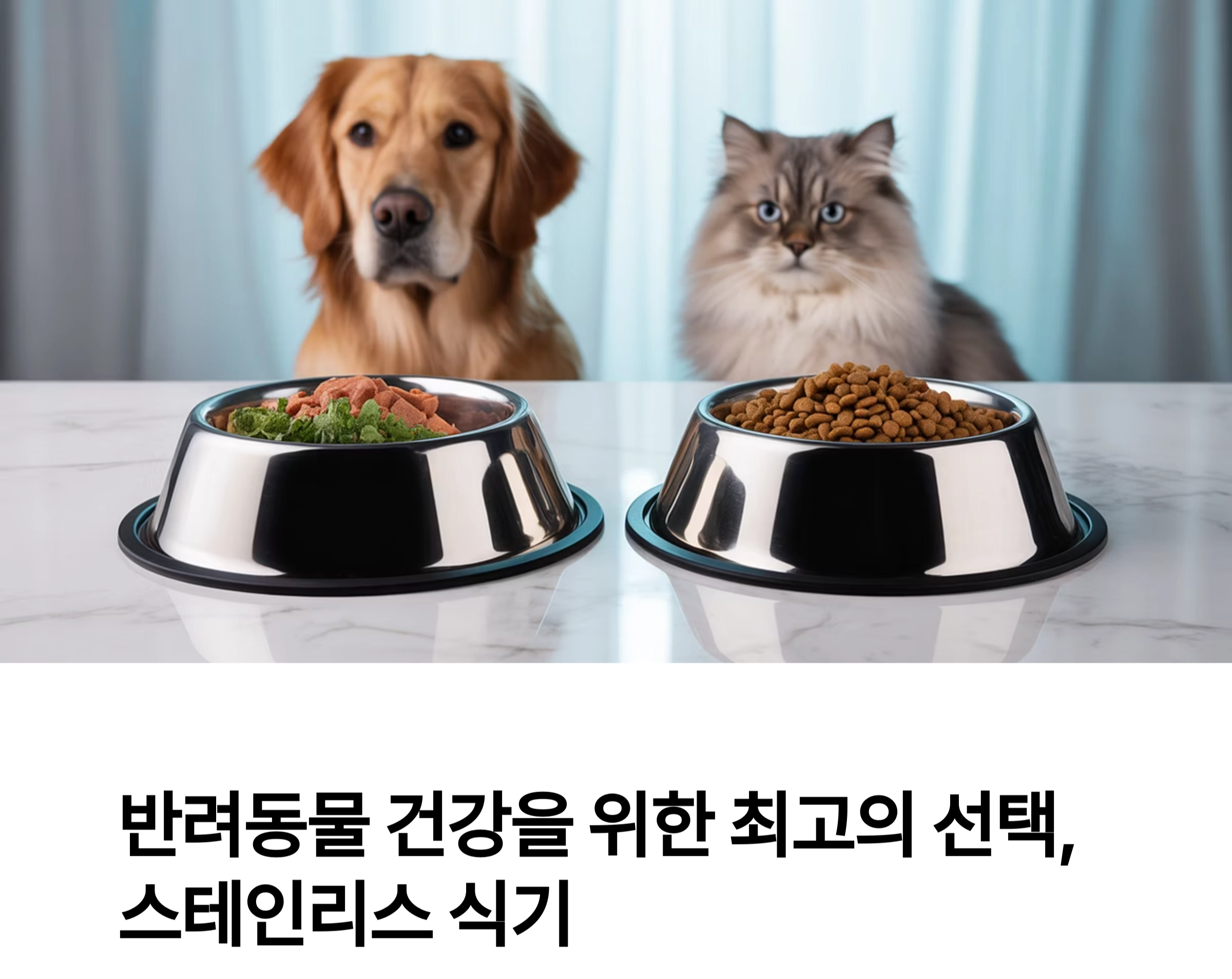 반려동물 건강을 위한 최고의 선택, 스테인리스 식기 추천 이유