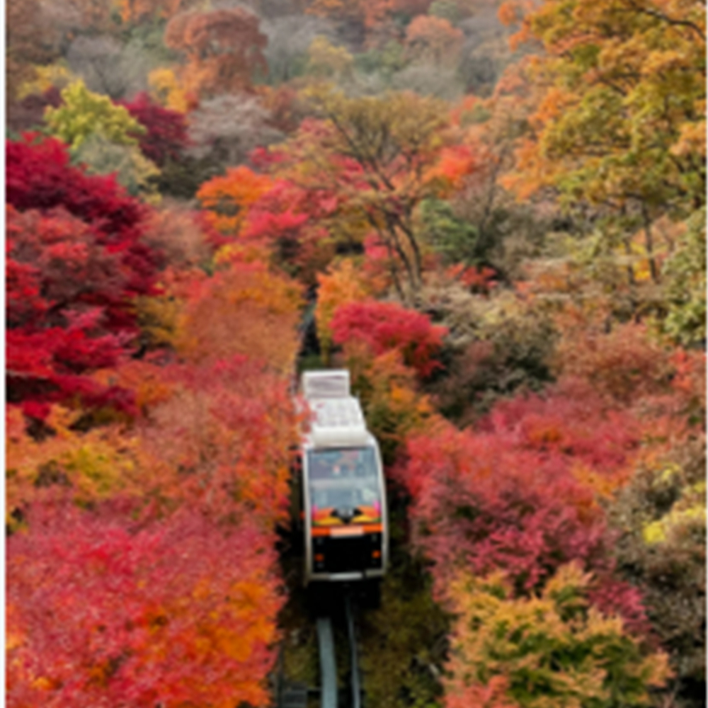 경기도 단풍명소