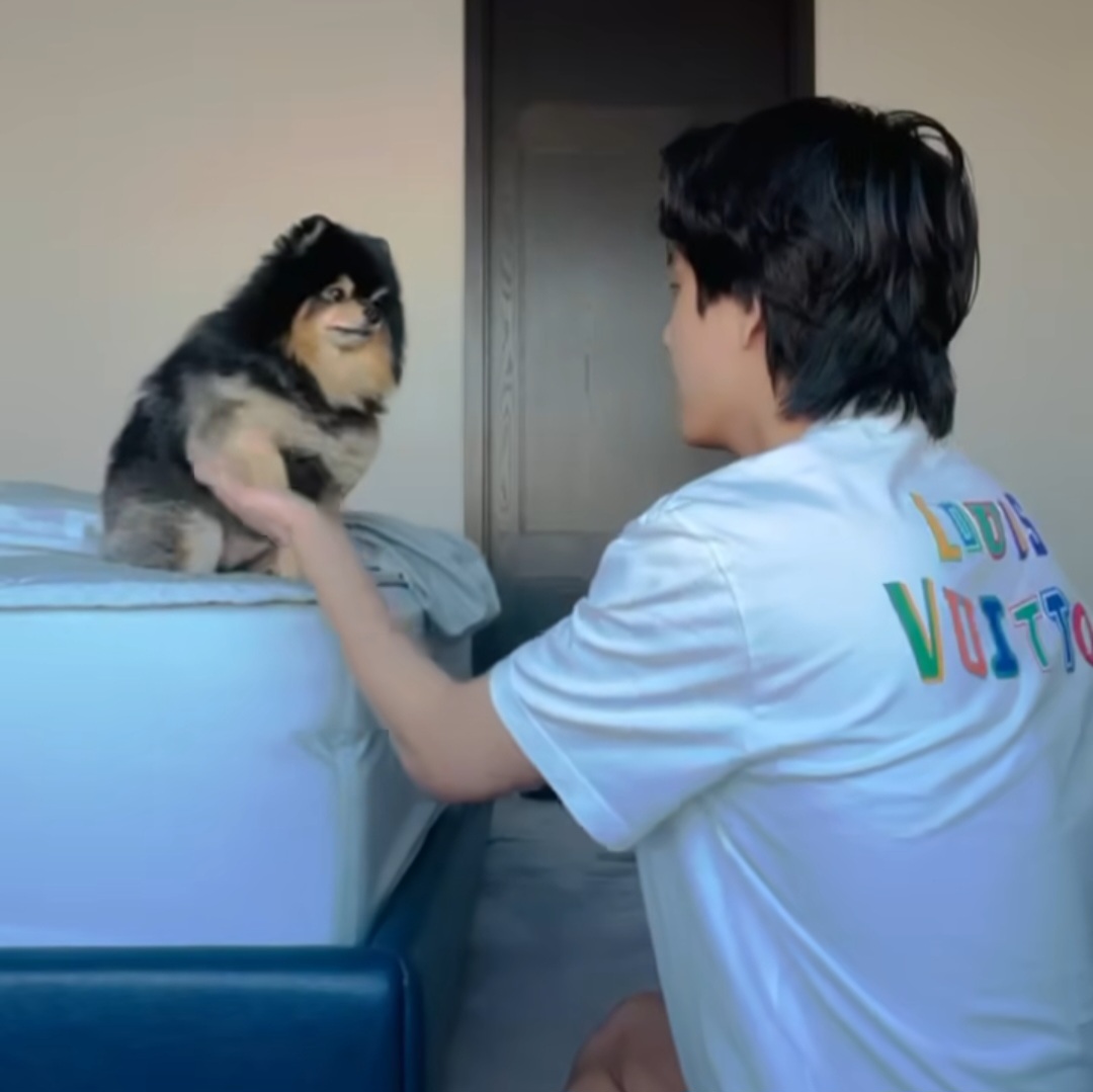 뷔 반려견 연탄이