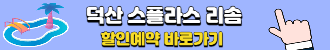 덕산 스플라스 리솜 온천 워터파크 할인예약