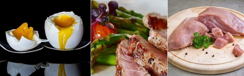 근육을 위한 단백질 식품