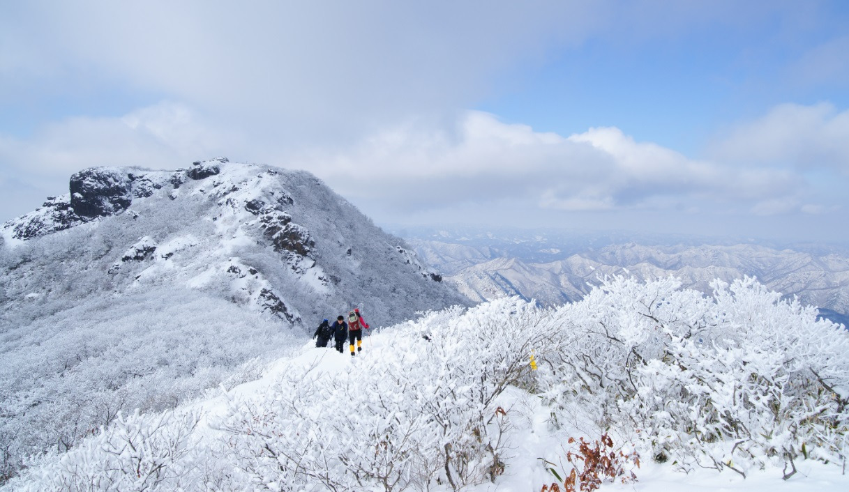 2025 제15회 진안고원 수박축제 완벽 가이드 &amp;#124; 한여름 달콤한 진안 여행의 필수 코스
