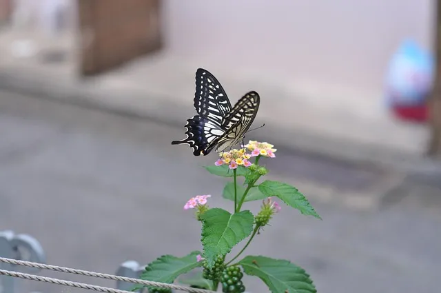 고베 여행_12