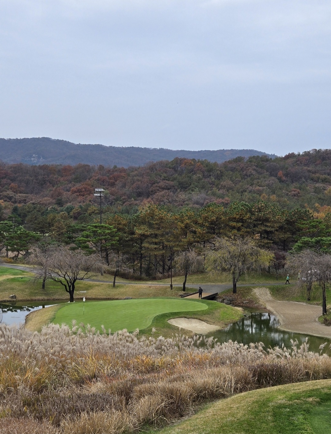 단풍과 갈대가 어우러진 코스