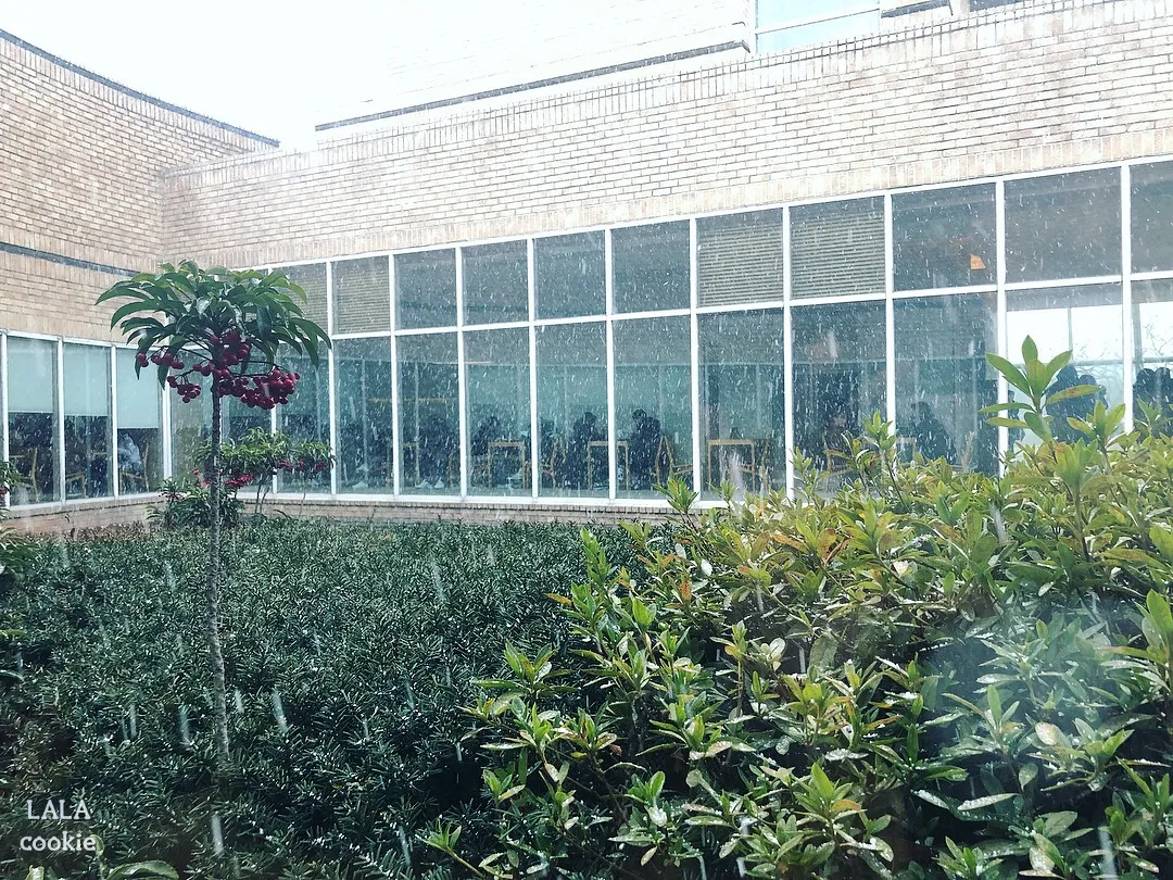 제주도-서쪽-카페-오설록-티뮤지엄-내부-창가