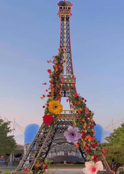 곡성 세계 장미 축제 일정 2024&amp;#44; 초대가수 라인업부터 여행 Tip까지 총정리