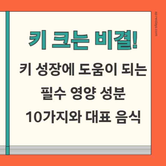 키 크는 비결! 키 성장에 도움이 되는 필수 영양 성분 10가지와 대표 음식
