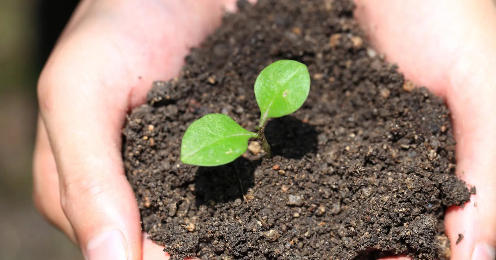 음식물처리기 지원금 소비자 후기와 주의사항