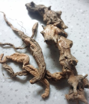 토복령 효능 부작용 및 토복령차 끓이는 방법