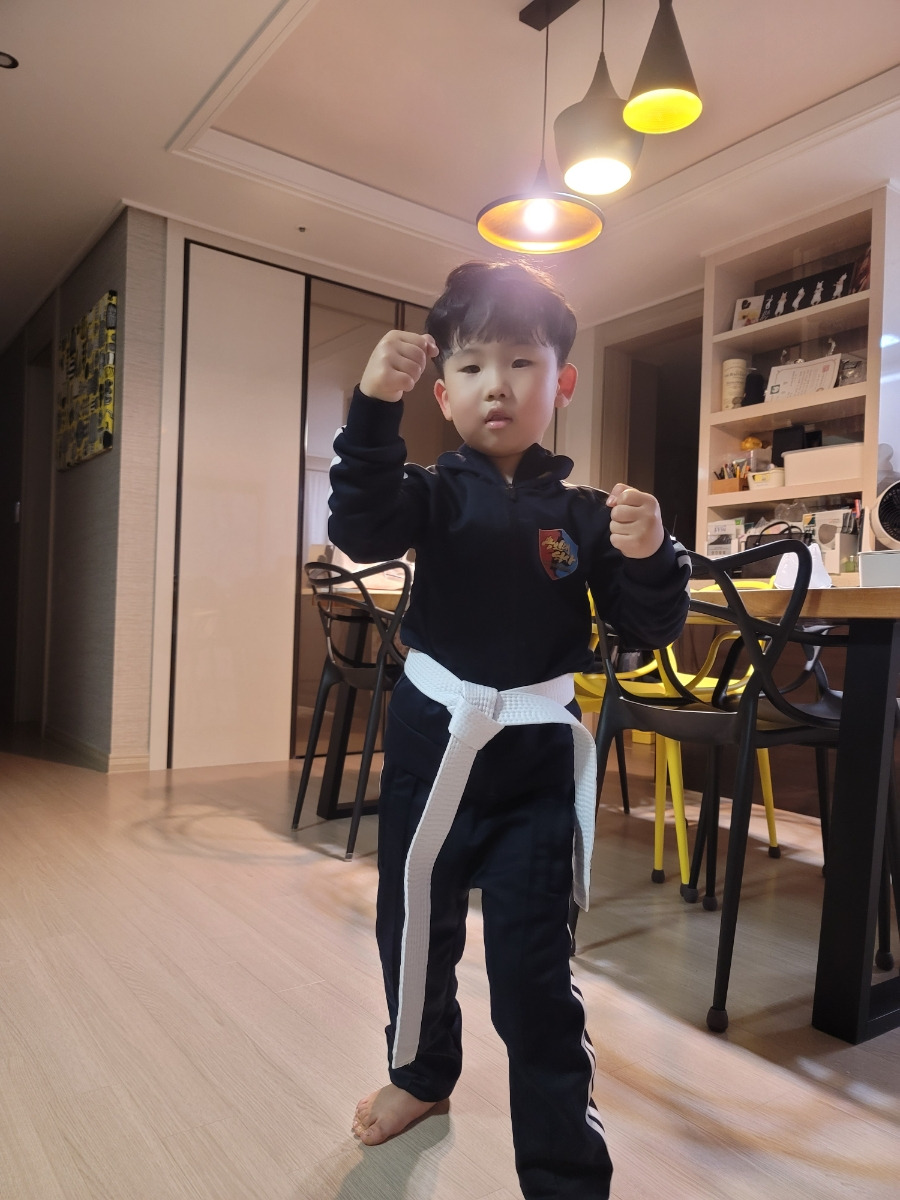 용인대석사태권도