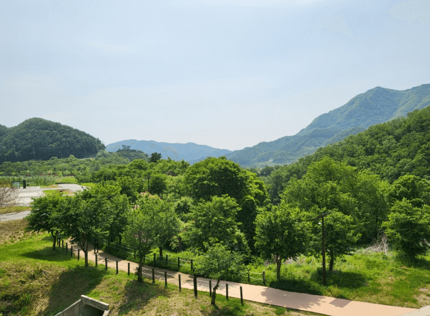 외국보다 더 멋진 국내 여행지 BEST 5!