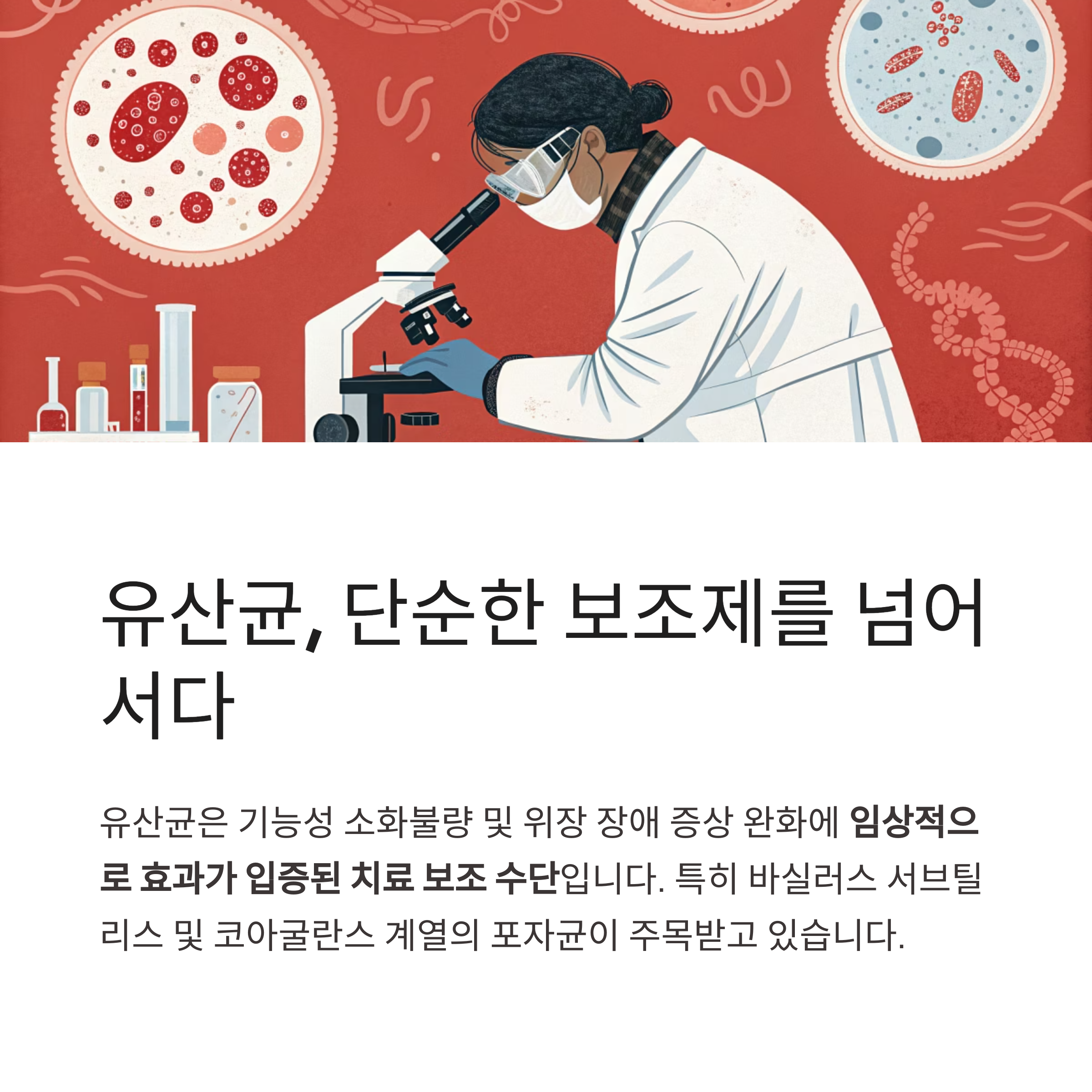 유산균, 단순한 보조제를 넘어서다