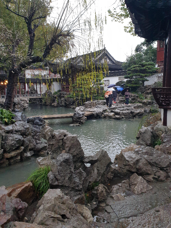 비가 오는 예원 내부. 돌과 연못 그리고 나무가 아름답다.