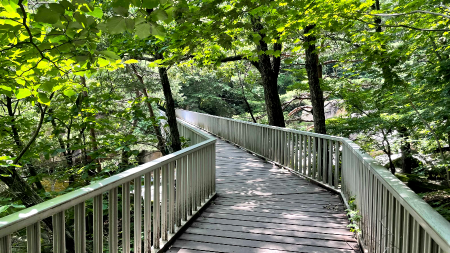 쌍폭포 가는 길 다리