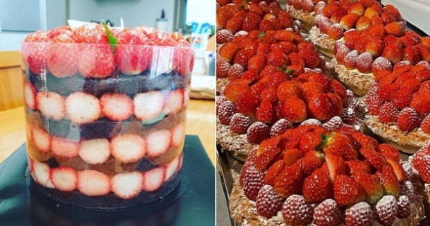 SNS 화제의 딸기 케이크