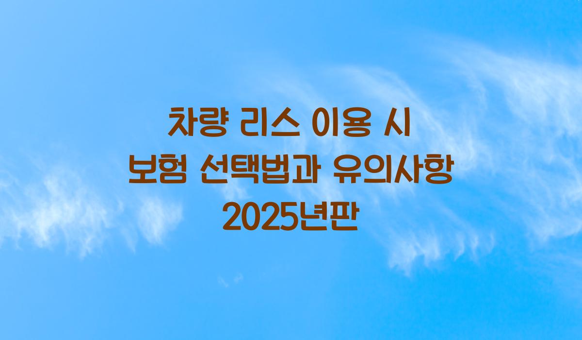차량 리스 이용 시 보험 선택법