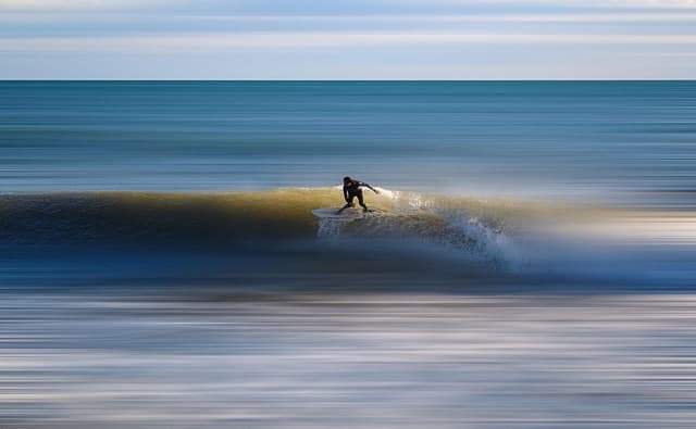 영양소의 중요성, 탄수화물, 단백질, 지방, 비타민
