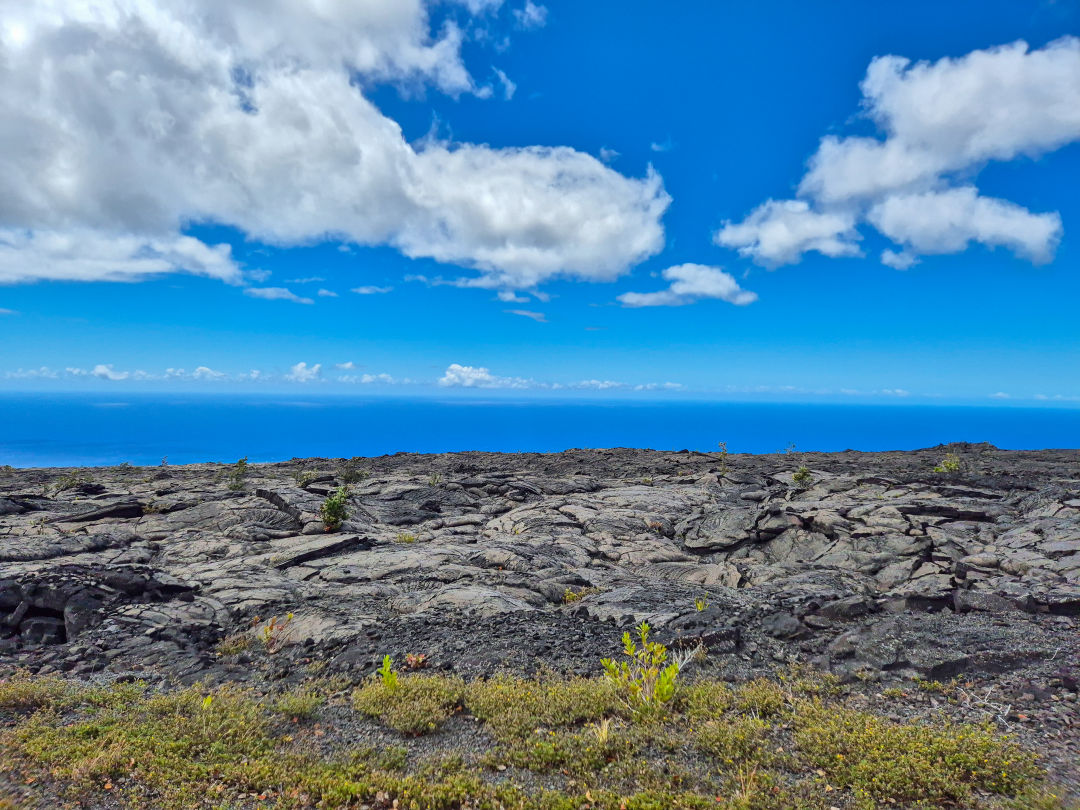 홀레이 시 아치 드라이브