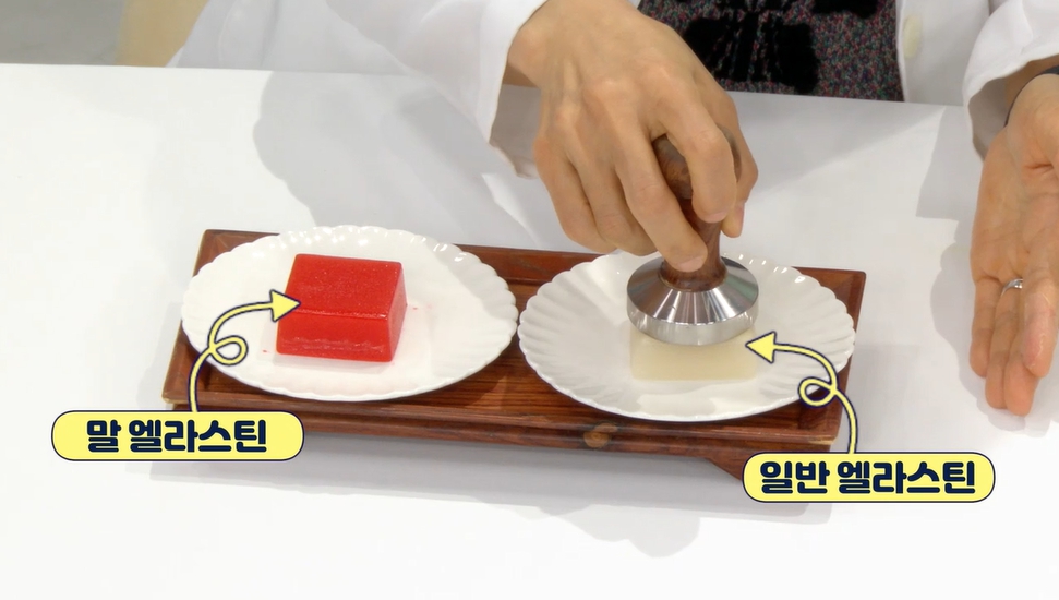 말 엘라스틴 효능