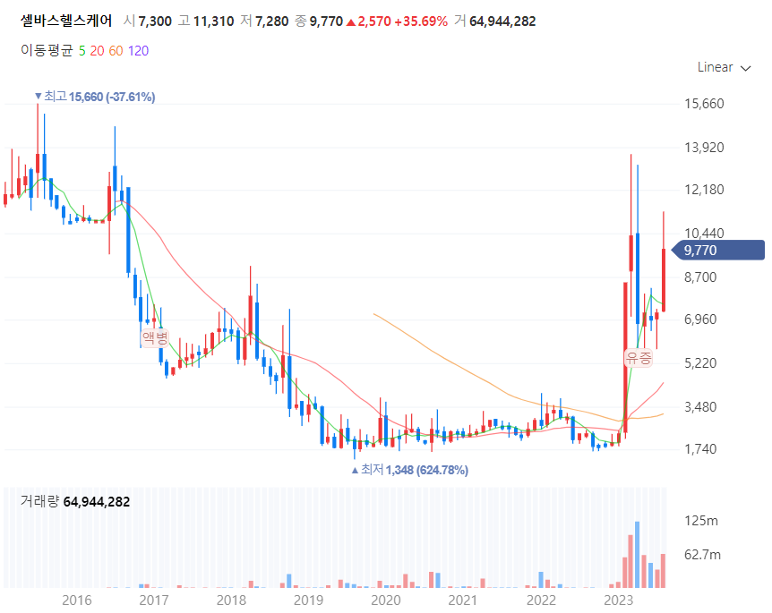 의료AI기업관련주_셀바스헬스케어