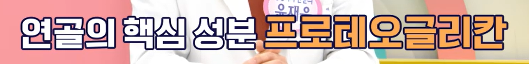 프로테오글리칸