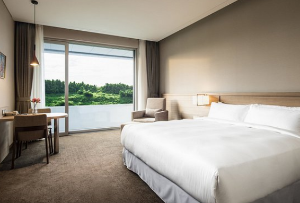 수영장이 좋은 국내 호텔