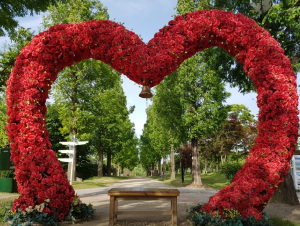 4월 국내 여행지