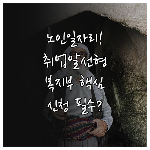 보건복지부 취업알선형 노인일자리 신청..