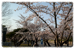 구드래 조각공원