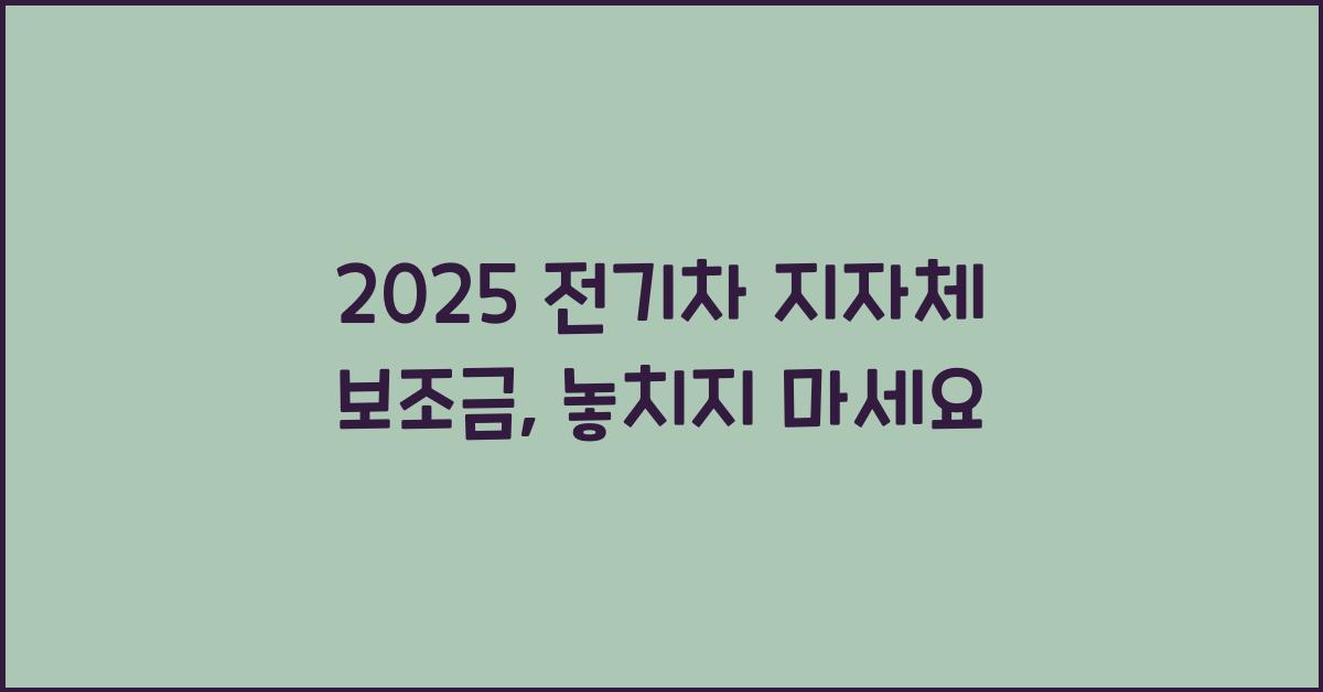 2025 전기차 지자체 보조금