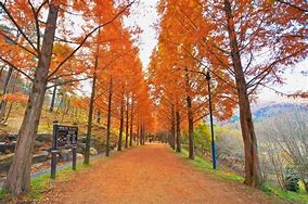 세종 금강수목원